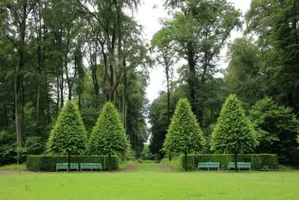 Tala y poda de árboles en altura, Cantabria y provincia