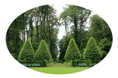 Tala y poda en altura de árboles Cantabria Arboricultura Tala y poda en altura de árboles CantabriaArboricultura